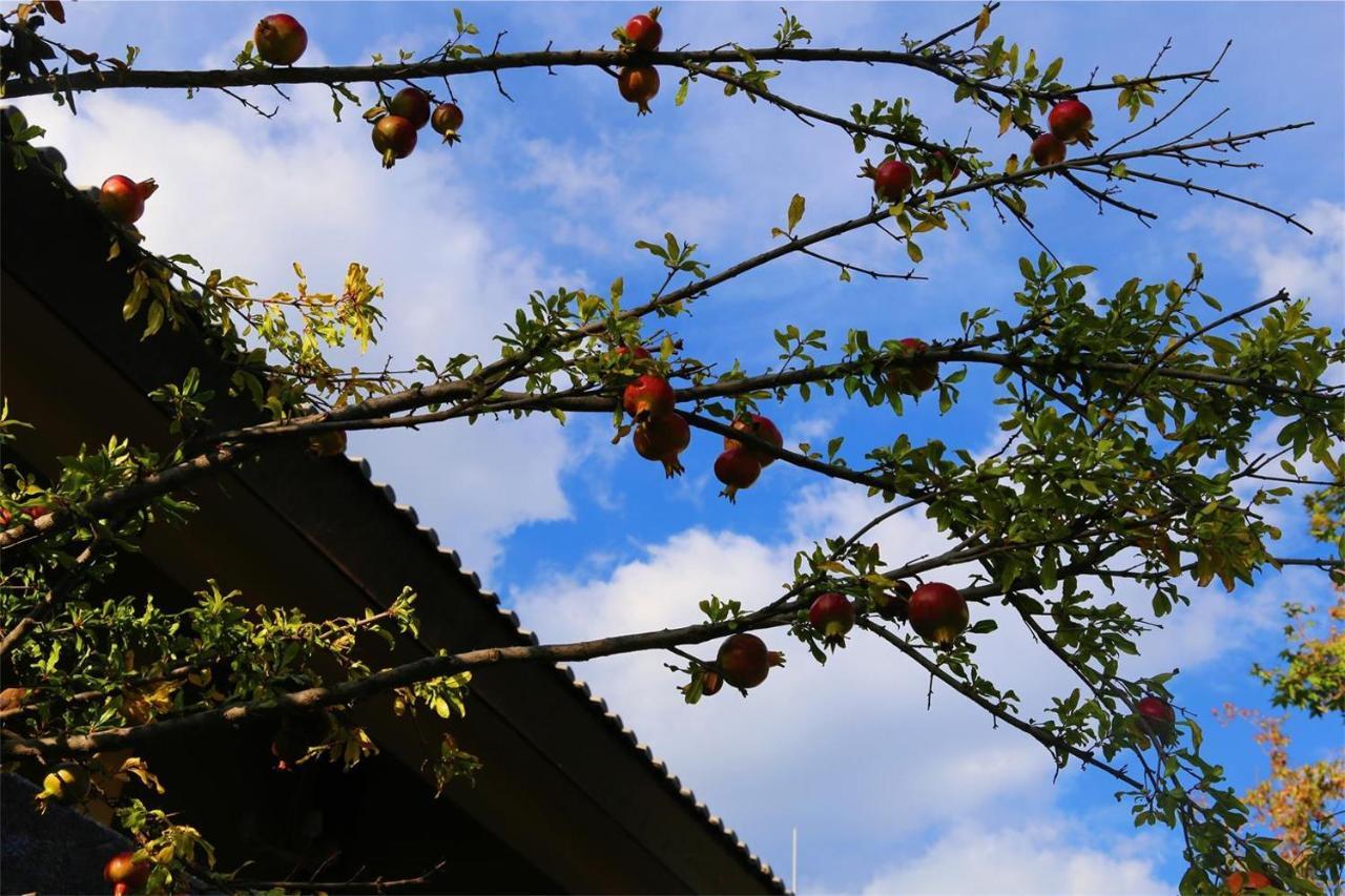 Howard Johnson Jinlin Plaza Lijiang Licsiang Kültér fotó